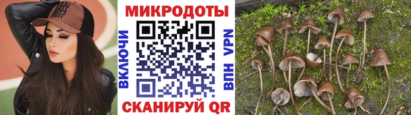 где купить наркоту Грязовец Псилоцибиновые грибы мицелий